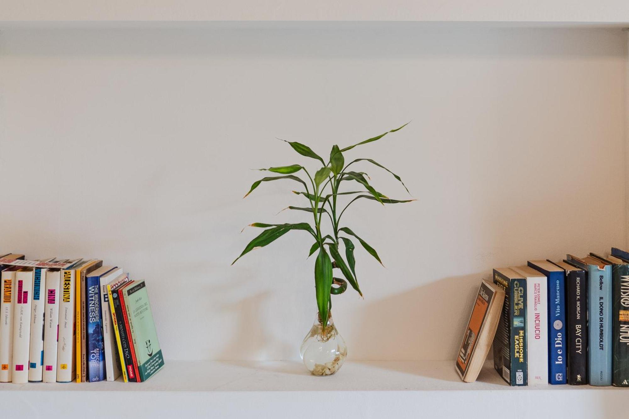 Bed and Breakfast Bed And Books CTA Exteriér fotografie